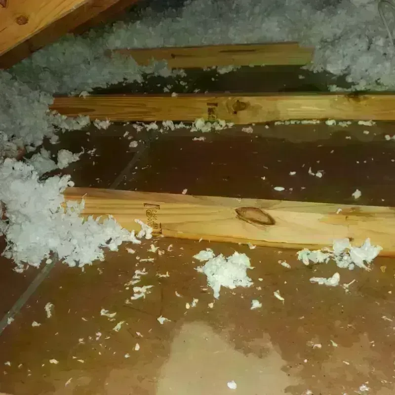 Attic Water Damage in Sansom Park, TX